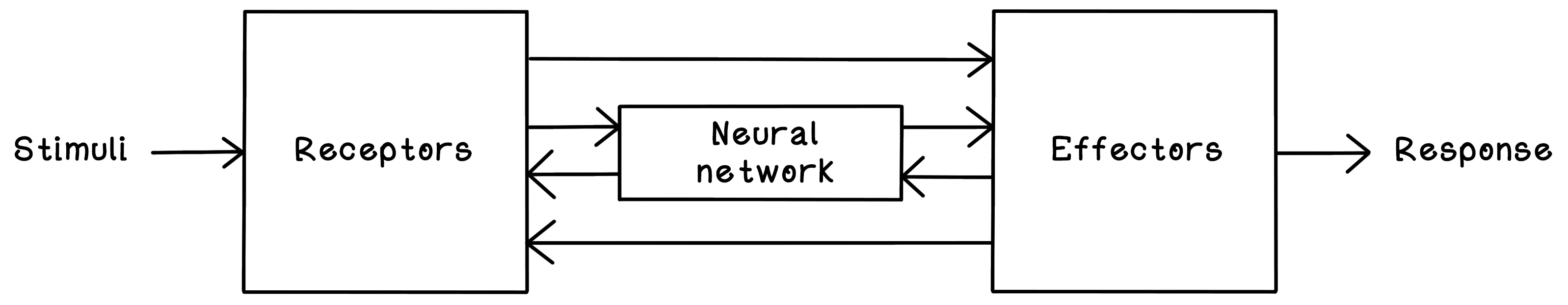 A simplified model of a biological neural system