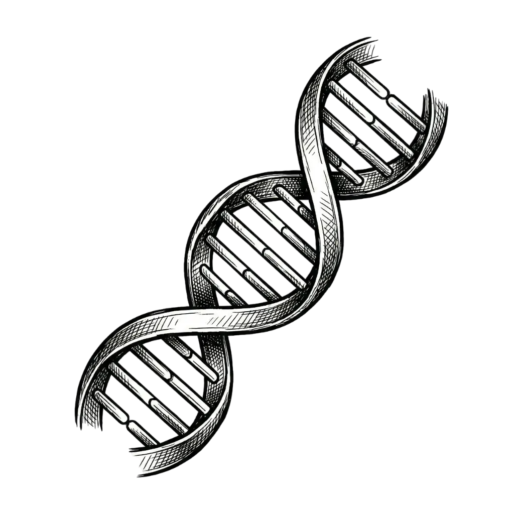 Evolutionary algorithms illustration