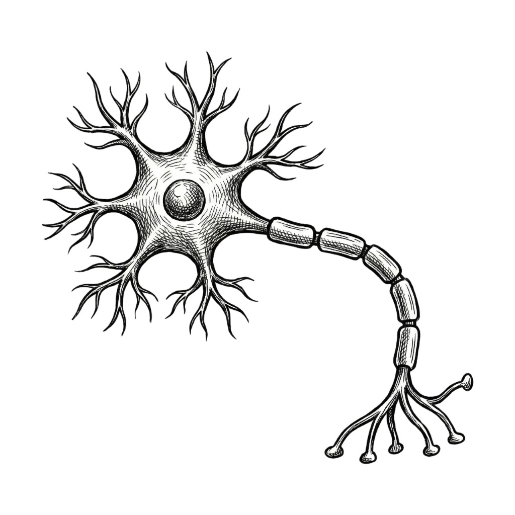 Neural networks illustration