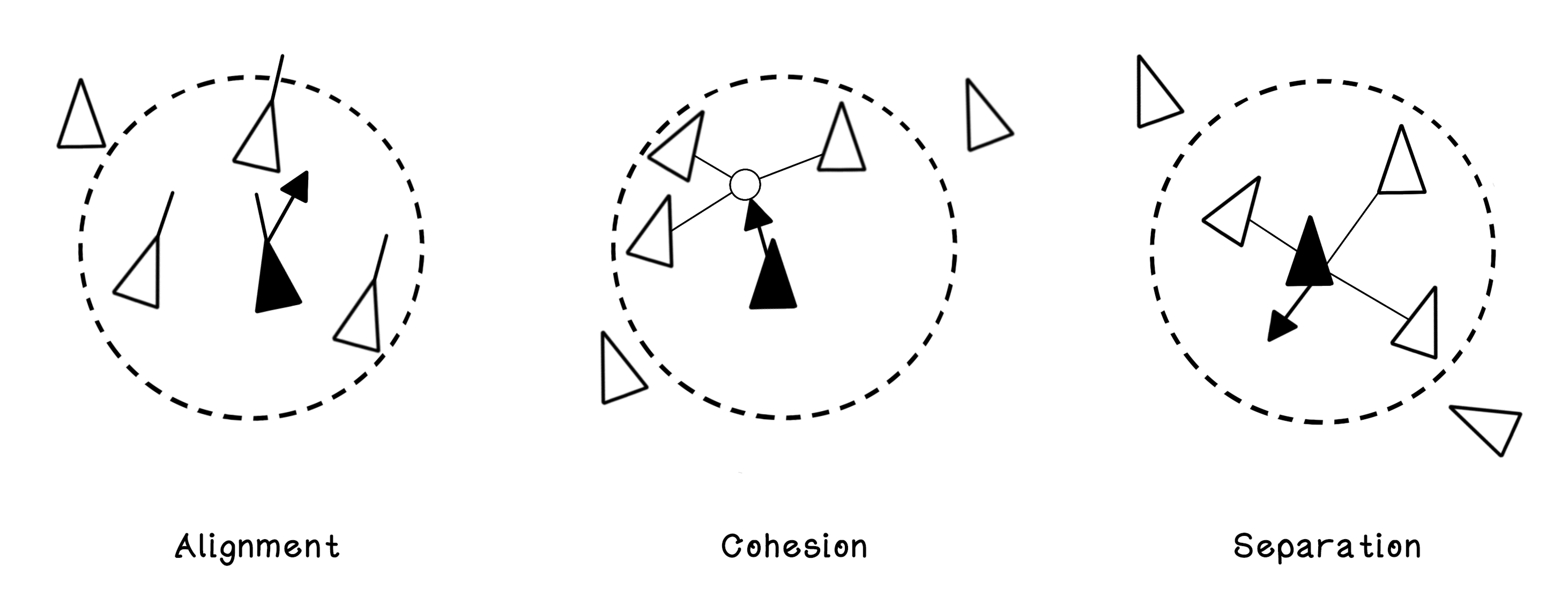 Rules that guide swarm intelligence