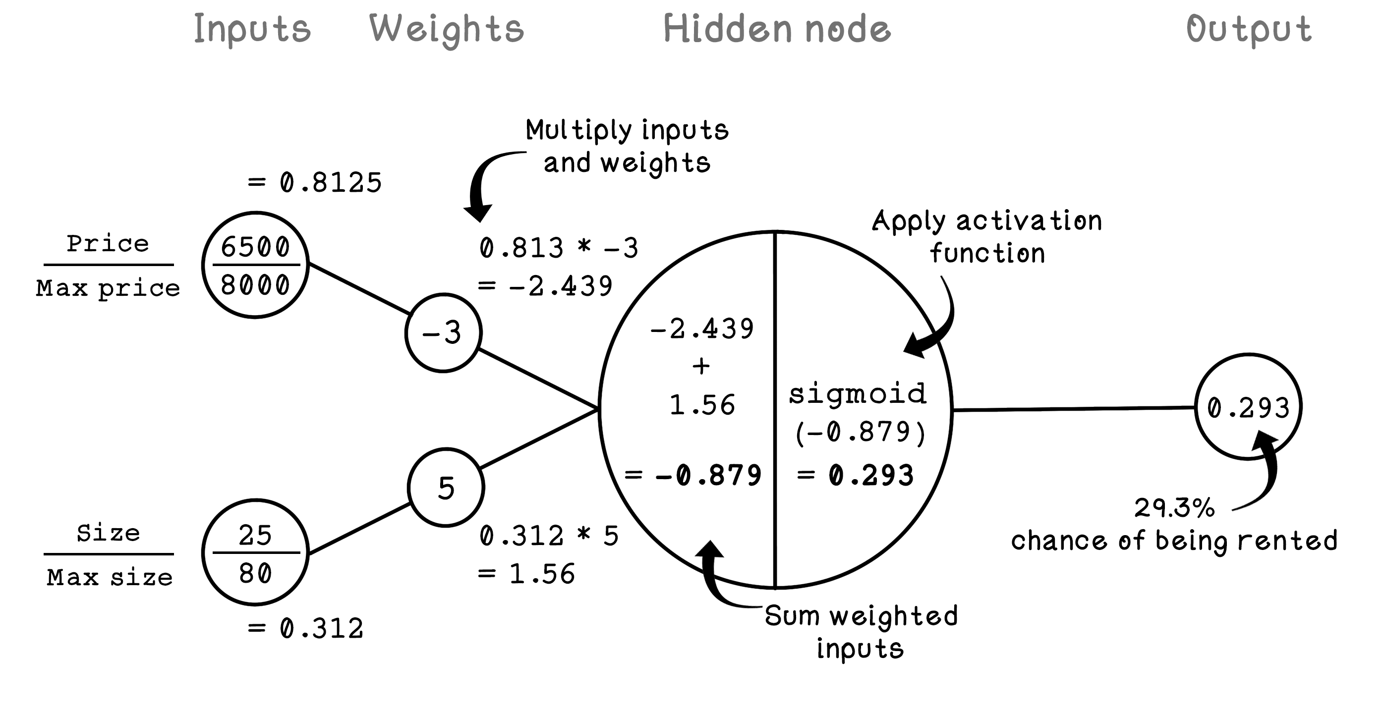 The general composition of neurons