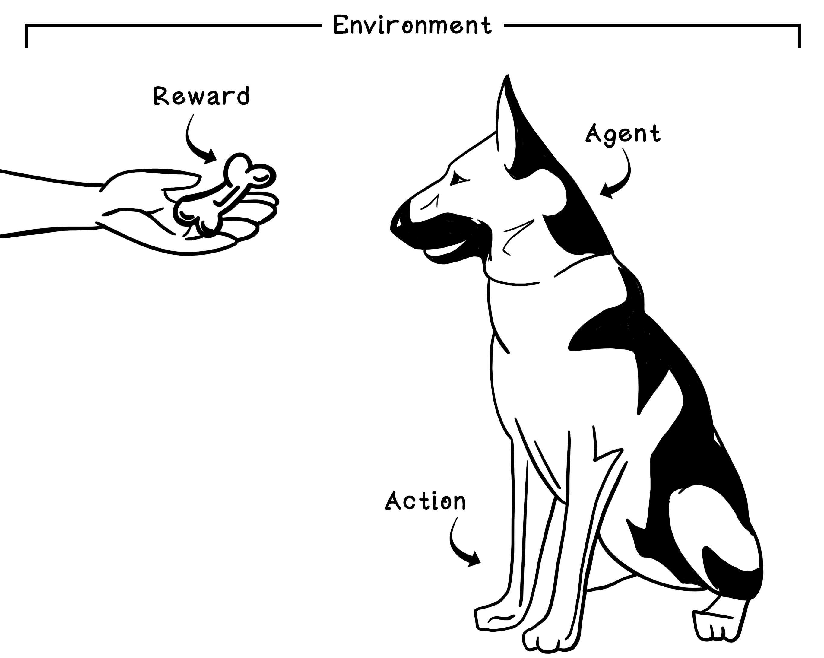 A simplified model of a biological neural system