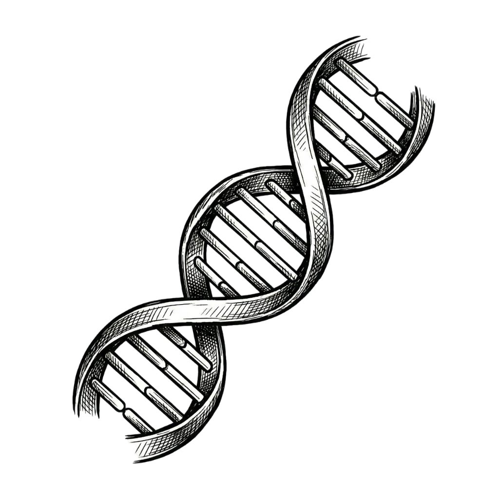 Evolutionary algorithms illustration