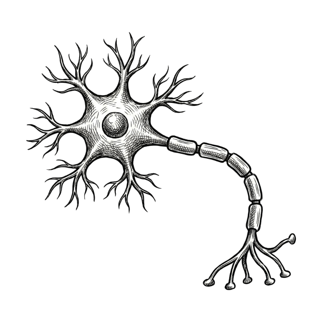 Neural networks illustration